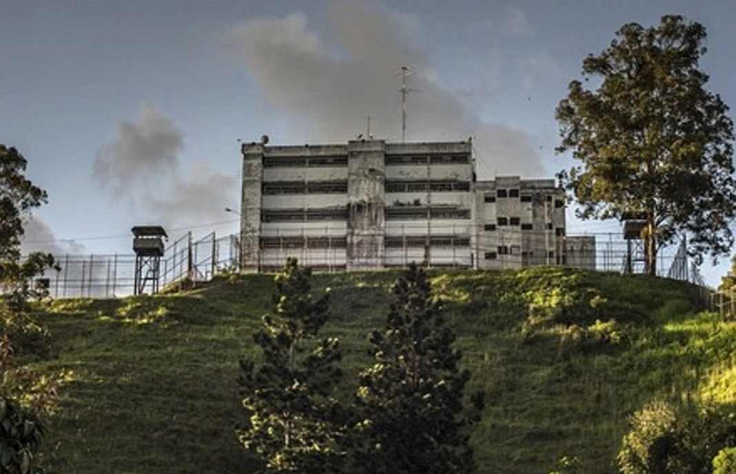Ramo verde